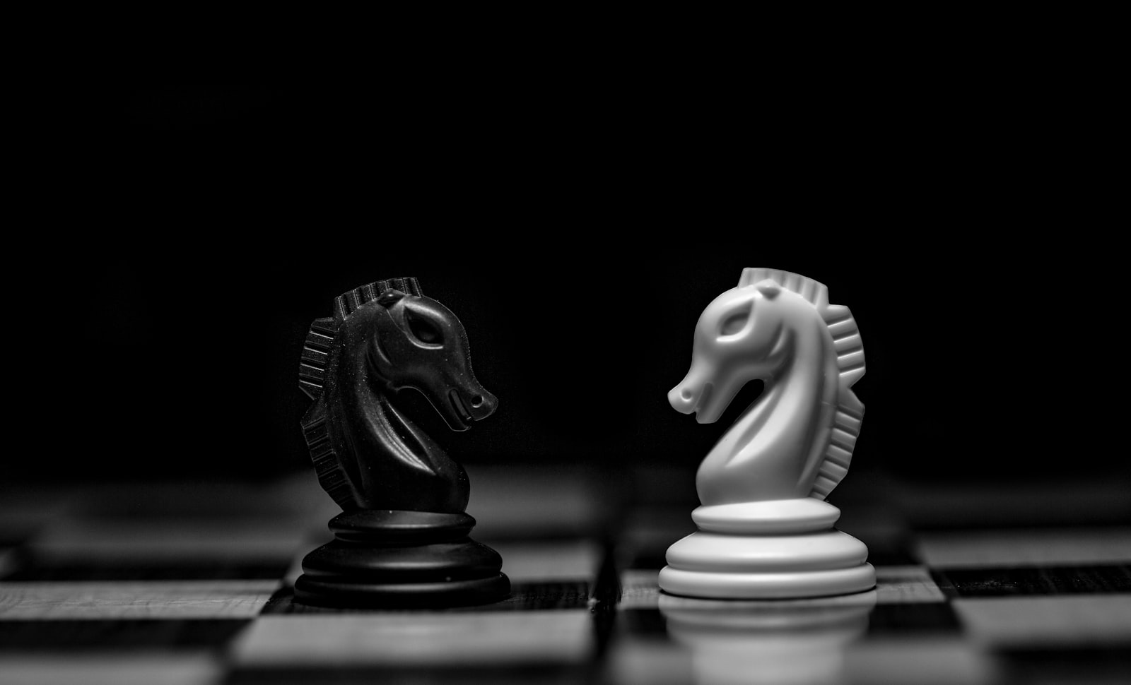 Black and white chess knights facing each other on a chessboard